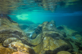 Komarnica underwater: a cold kaleidoscope full of life